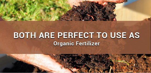 Organic Fertilizer